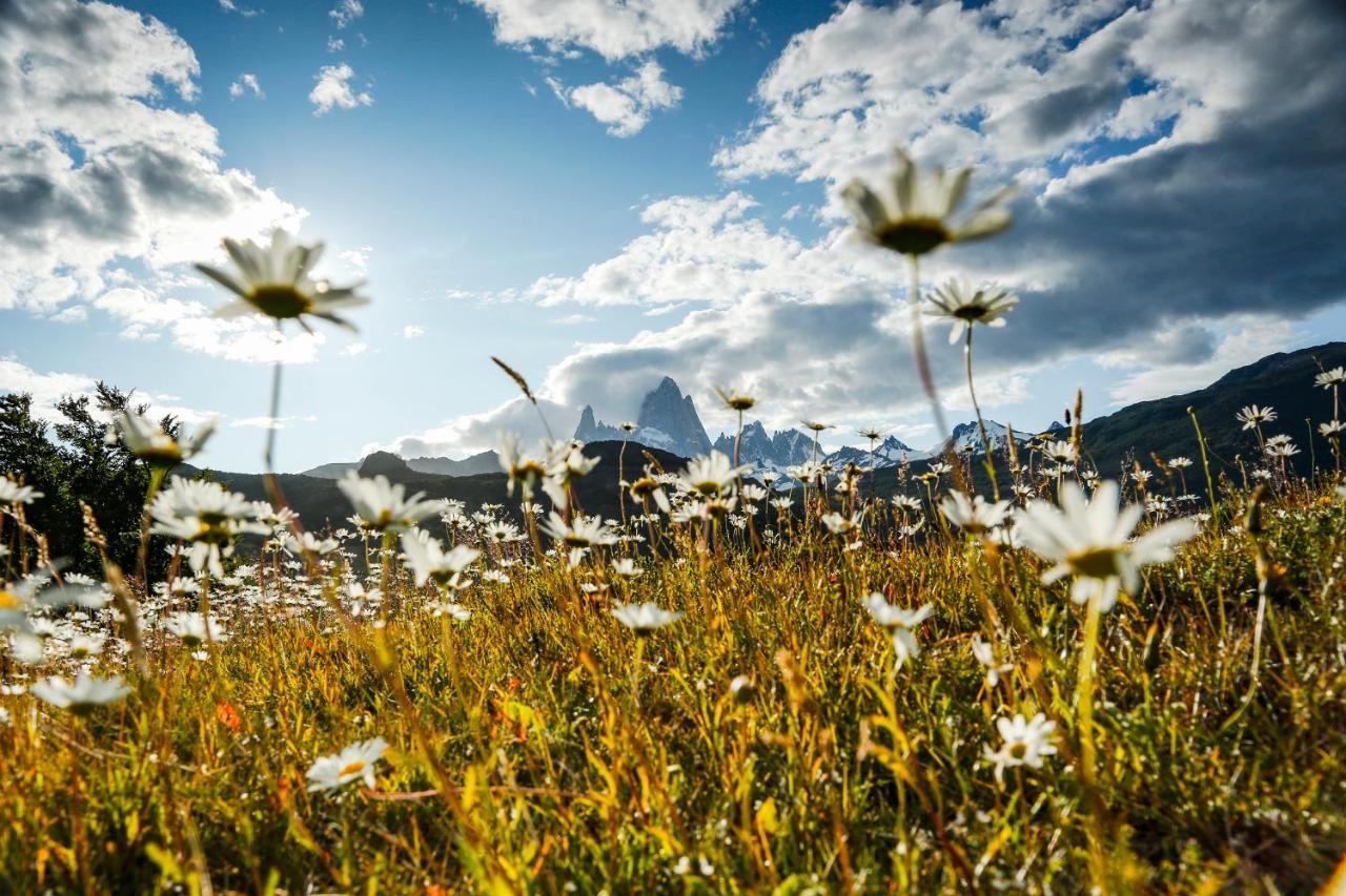 Chalten Camp - Glamping With A View El Chalten Exterior photo